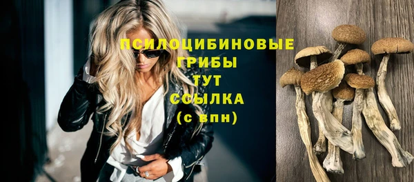тгк Яровое