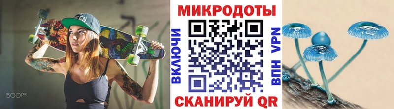 Купить закладки  Плёс  Галлюциногенные грибы Psilocybe 